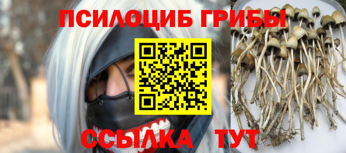 Ангарск  Псилоцибиновые грибы GOLDEN TEACHER  Вход с VPN 
