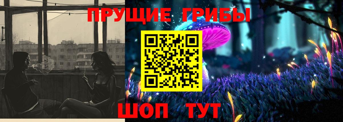Псилоцибиновые грибы Psilocybine cubensis Ангарск
